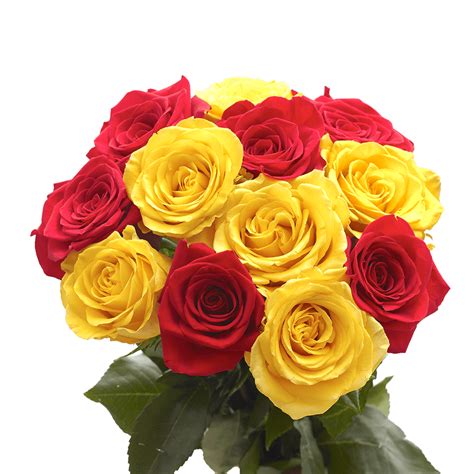 Valentines Day Rose Delivery Yellow Rose Bouquet Red And Yellow
