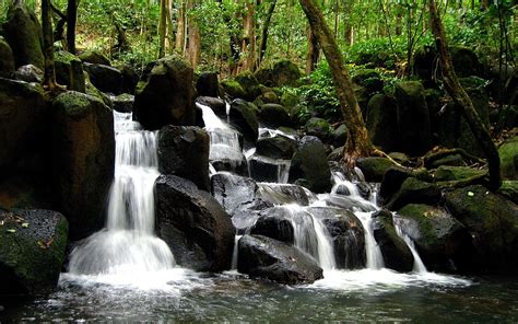 Falls Stones Wood Water Streams Trees Trunks Wallpaper