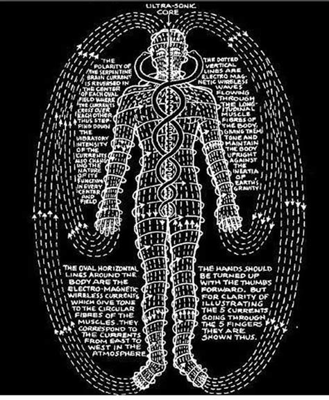 Human Electro Magnetic Field Around The Body As Electricity Passes