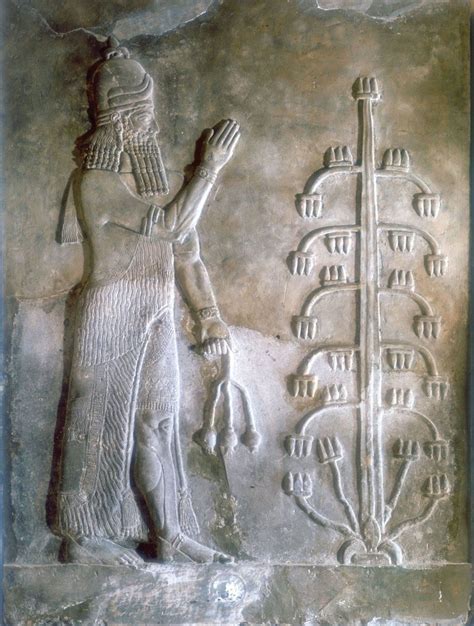 Assyrian King Sargon Of Akkad Bc Bc Ancient Sumerian