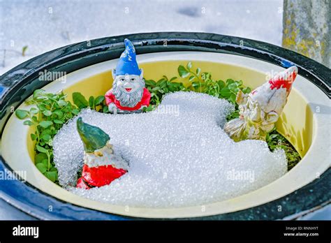 Garden Gnomes In Snow Stock Photo Alamy