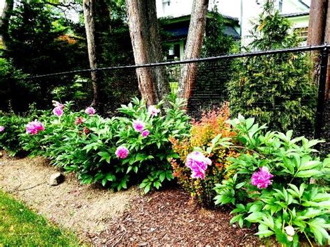 Installing a chain link fence is not too difficult, and the average person can install one in a weekend or two with the help of a couple of friends. Black Chain Link Residential Fencing | Black chain link ...