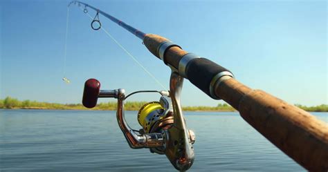 Best Telescoping Fishing Rods In 2021 Reviewed And Tested By Experts