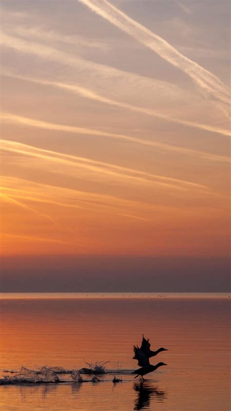Sunrise Over The Lake Balaton Wallpaper Backiee
