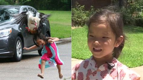 Goose Attack On 5 Year Old Girl Goes Viral Cnn Vlrengbr