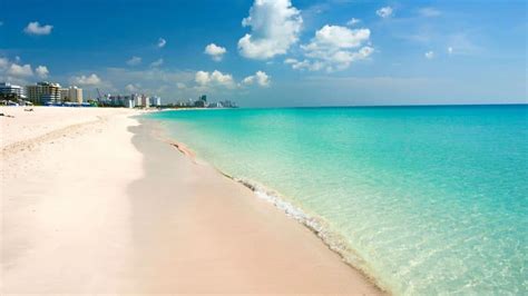The Best Beaches In Miami Your Ultimate Guide Trekbible