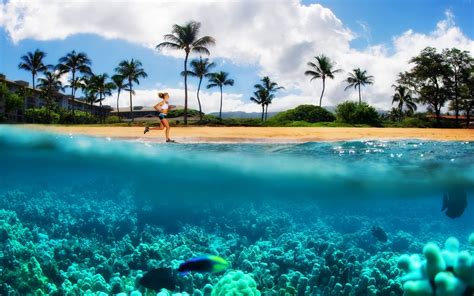 Kanappali Beach Maui Hawaii Desktop Background 592840 ...