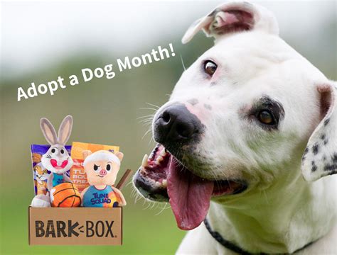 Celebrate October Is Adopt A Shelter Dog Month Upper Peninsula