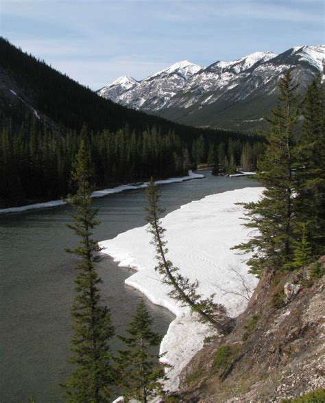 Bow River Hoodoos Trail Banff National Park Alberta