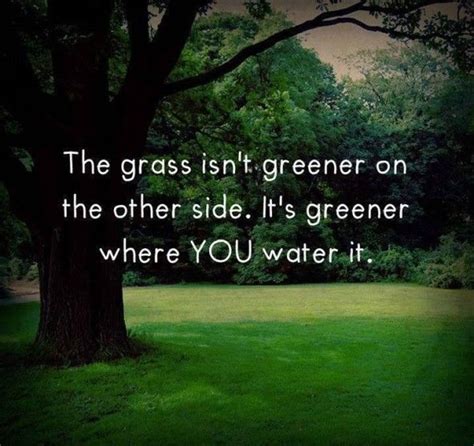 It essentially means the other point of view, or a barrier that you have to cross. The Grass Is Greener Where You Water It Pictures, Photos ...