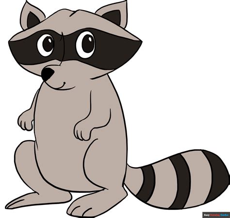 How To Draw A Raccoon Drawingforall Net Vrogue Co