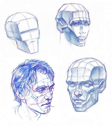 planes of the head by abdonjromero on deviantart anatomy drawing anatomy art figure drawing