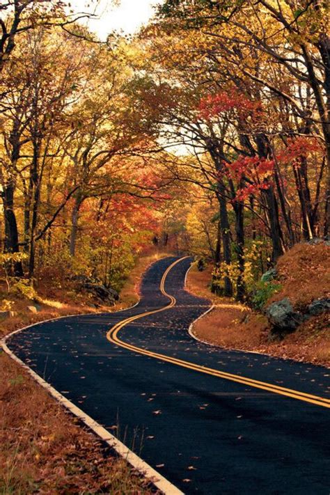 Winding Road Scenic Autumn Fall Pictures Landscape