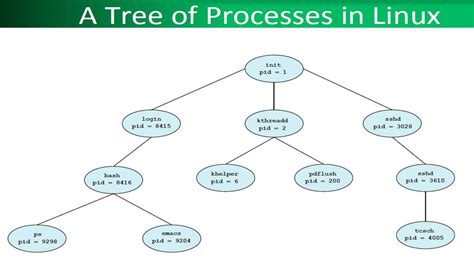 A Tree Of Processes In Linux Computer Programming Linux Map