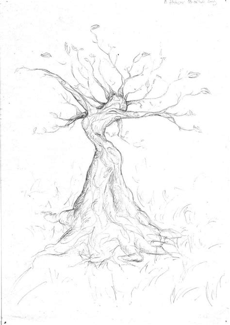 Woman Tree Tree Art Tree Drawing Art