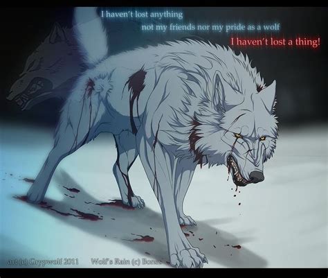 Pride Of A Wolf By Grypwolf Cartoon Drawings Of Animals Anime Wolf