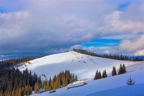 Snowy Mountains Scenery Stock Photo Image Of Pines 104619212
