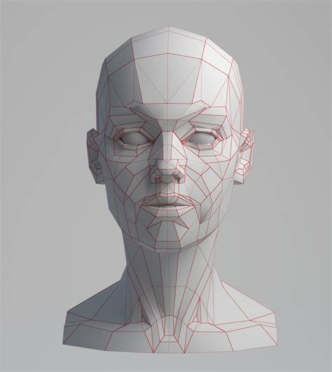 Face Anatomy Human Anatomy Drawing Anatomy Art Face Drawing Face