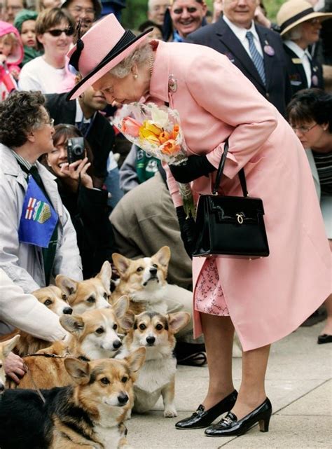 Queen Elizabeth Loved Corgis Here Are 26 Adorable Photos Of The