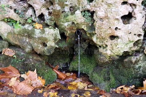 Natural Spring Water Moss And Leaves Water Flowing Over Rocks Stock