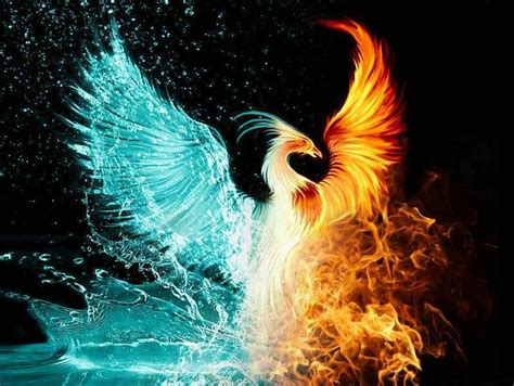 Phoenix Fire And Ice Phoenix Wallpaper Phoenix Artwork Phoenix Images