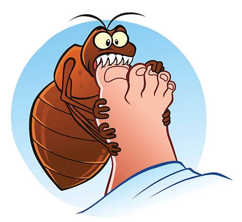 Bed Bugs Clip Art 20 Free Cliparts Download Images On Clipground 2024