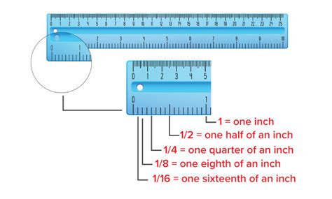 This is unusual on inch rulers, and is a feature borrowed from the metric system. What is Ruler? - Definition, Facts & Example