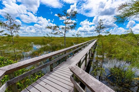 Best Things To Do In The Everglades National Park Florida