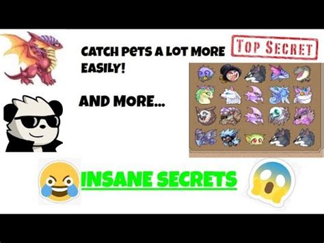 The SECRETS to Pets! | Prodigy Math Game - YouTube