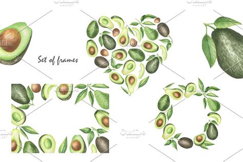 Watercolor Avocados Clipart Pre Designed Photoshop Graphics