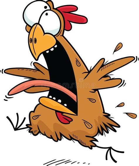Crazy Chicken Cartoon Caricature Of Crazy Chicken Running And Yelling On White Affiliate