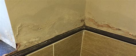 How To Stop Damp In Bathroom Expert Guide From Timberwise