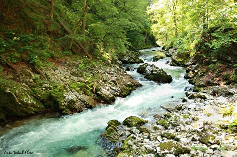 Vintgar Gorge Nature Slovenia Travelsloveniaorg All You Need To