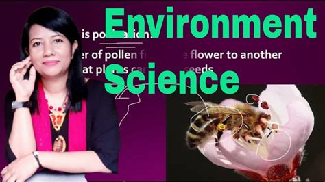 Our Environment Science Chapter 1 Grade 5 Youtube