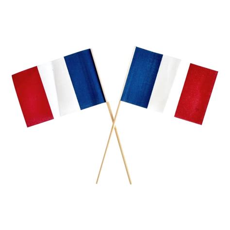 Small French Flags A Pair Chairish