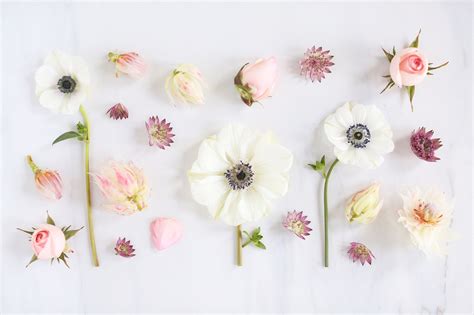 15 Perfect Wallpaper Aesthetic Laptop Flower You Can Save It Free Of