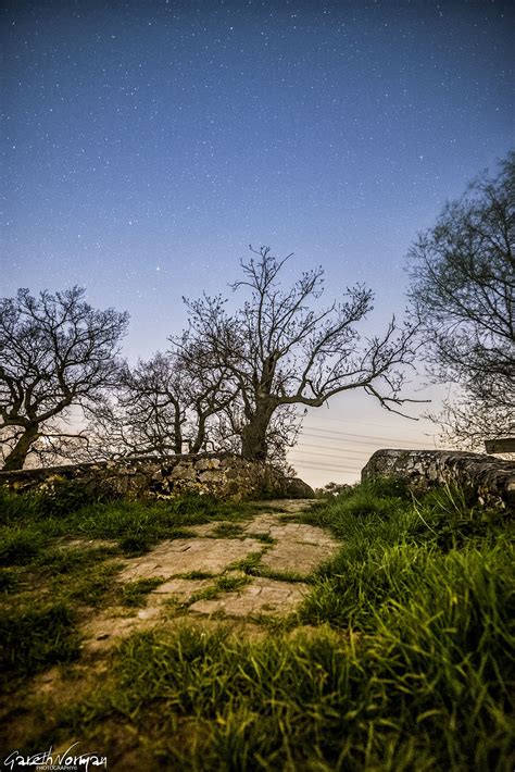 Night Photography Stars Trees Rural Photography Starscape Gareth