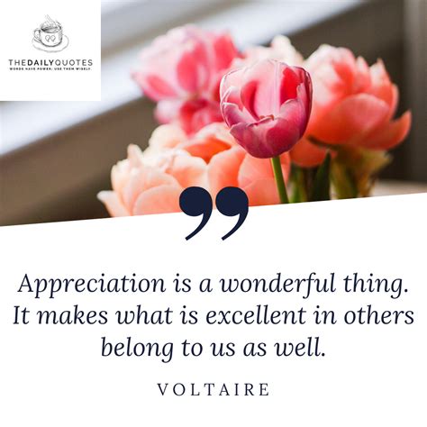 Appreciation Is A Wonderful Thing It Makes What Is Excellent In Others