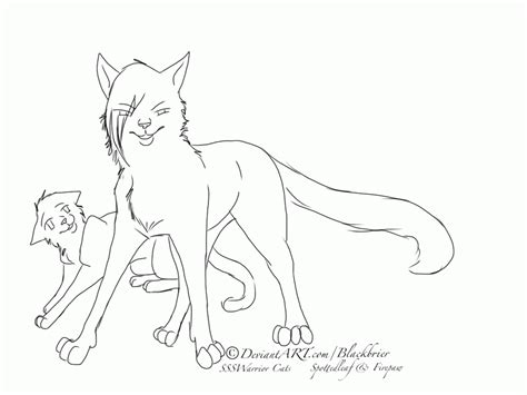 Warrior Cats Coloring Pages Medicine Cat Coloring Pages