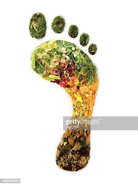 Environmental Footprint Photos And Premium High Res Pictures Getty Images