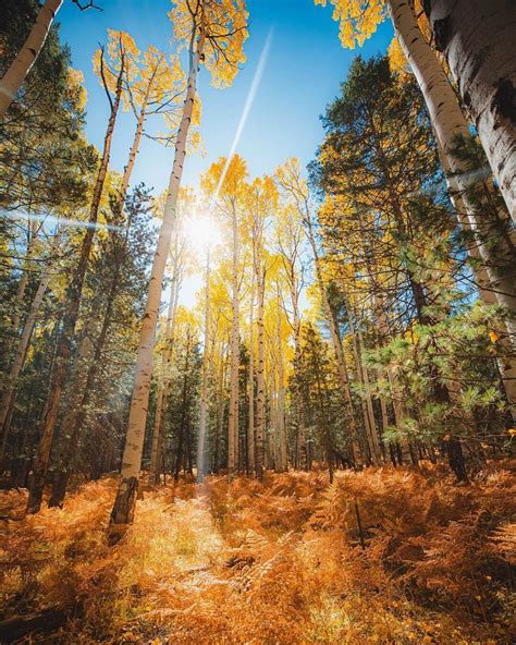 7 Arizona Autumn Photos That Will Make You Fall In Love With The State