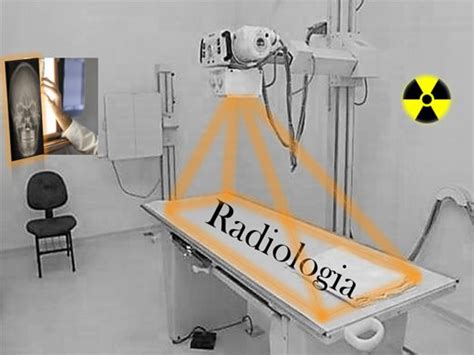 Curso A Distância De Radiologia Técnicas De Posicionamento E Anatomia