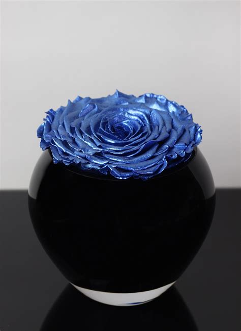 The Enigma – Electric Blue – Eternal Roses