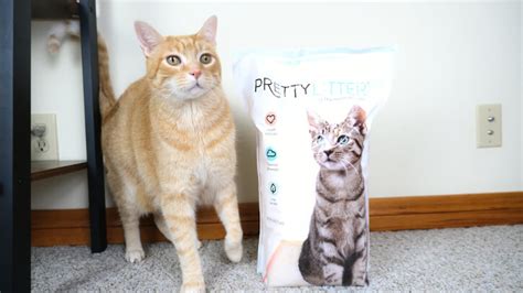 Pretty Litter Review Purchased And Tested Were All