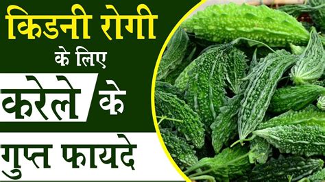 Bitter gourd is advantageous for diabetic people as it lowers the blood sugar levels in do not consume more than three bitter gourds a day as it might lead to diarrhea and abdominal pain. करेला कैसे है किडनी रोगी के लिए फायदेमंद | Benefits of ...