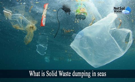 What Is Solid Waste Dumping In Seas Netsol Water