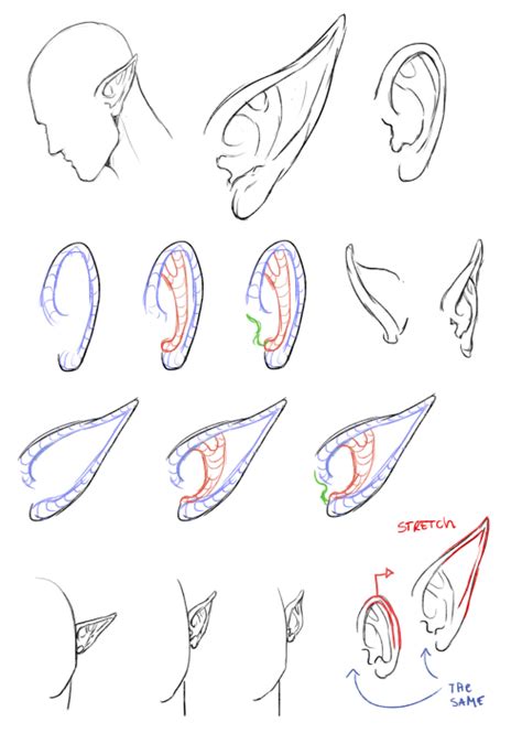 How To Draw Elf Ears Fairy Drawings Elf Drawings Ear Art