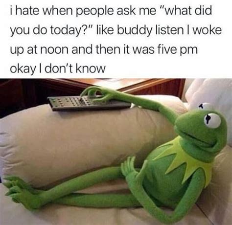 Kermit The Frog Memes That Are Insanely Hilarious Sayingimages The Best Porn Website