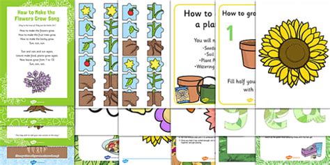 Childminder Eyfs Plants And Growth Resource Pack Twinkl