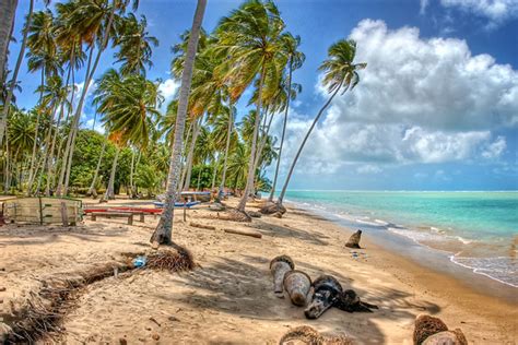 From wikimedia commons, the free media repository. Praia de Peroba, Maragogi | HDR | … | Flickr